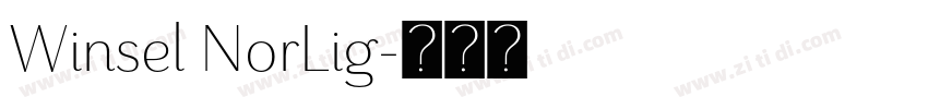 Winsel NorLig字体转换